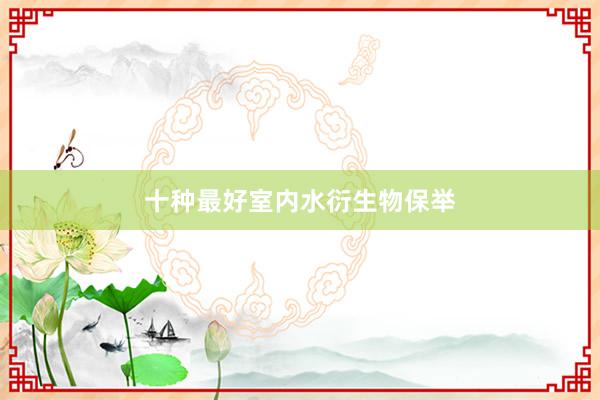 十种最好室内水衍生物保举