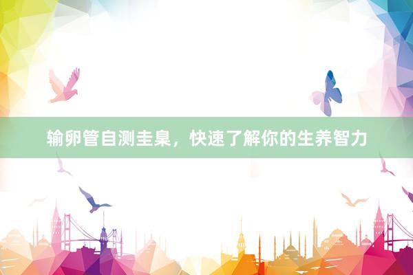 输卵管自测圭臬，快速了解你的生养智力